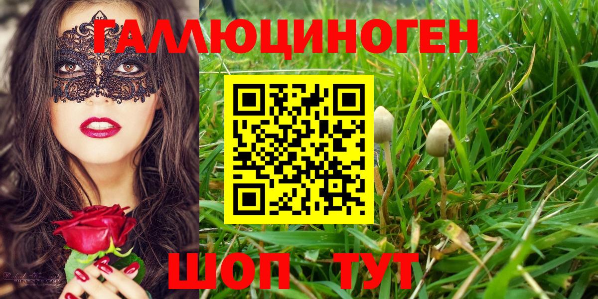 Галлюциногенные грибы ЛСД Тулун
