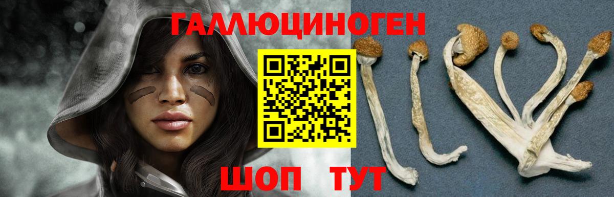 Галлюциногенные грибы GOLDEN TEACHER  Вход с VPN  Тулун 